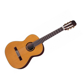 Классическая гитара Aria AK 35